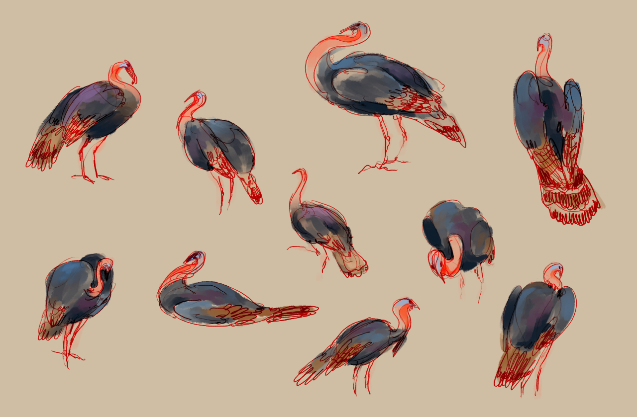 Turkeys