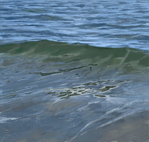 Wave